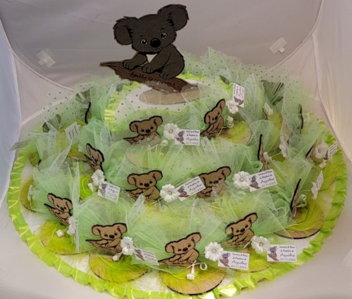 ../Images/pateau koala 11 23.jpg